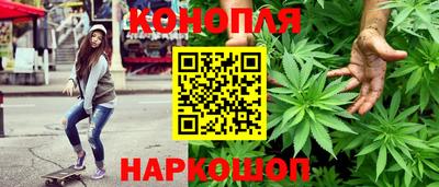 гидра Рязань