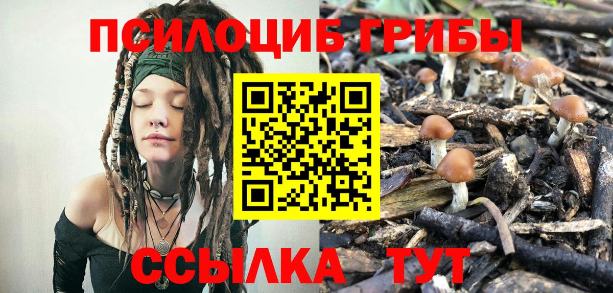 Псилоцибиновые грибы прущие грибы Отрадное